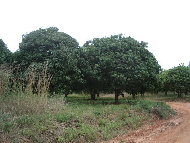 aimgp3113
