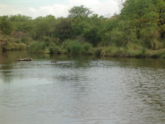 aimgp3154