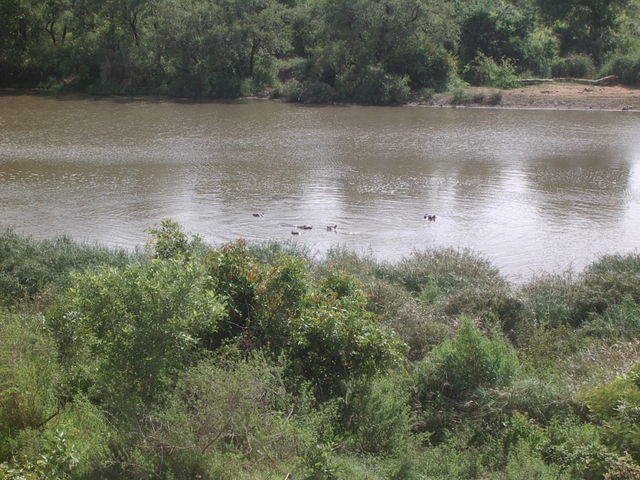 aimgp3248