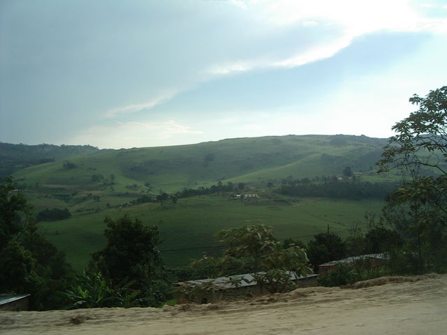 aimgp3493